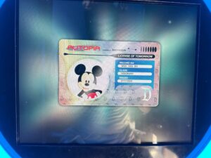 New Autopia Driver’s License