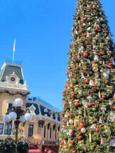 Disneyland Holiday