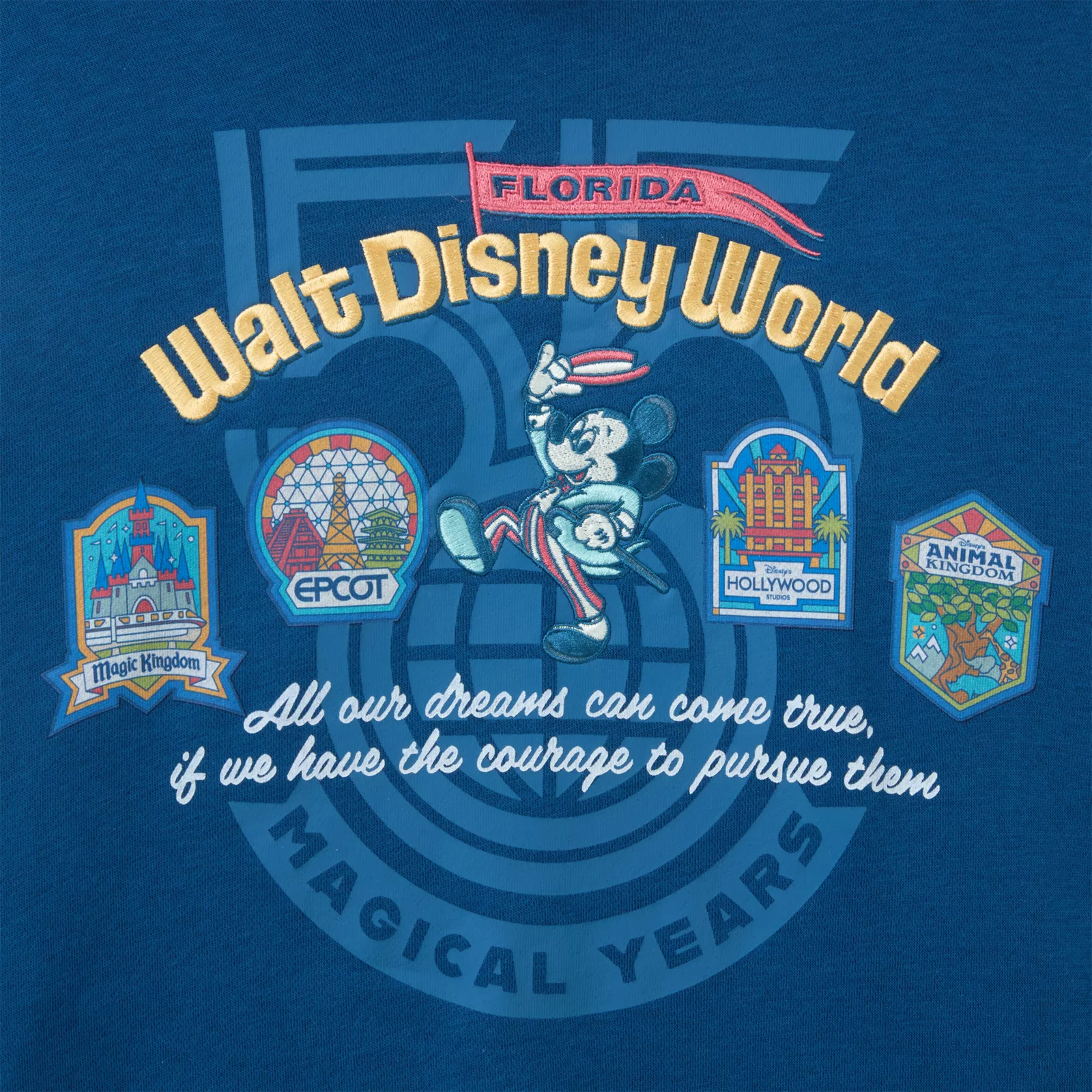 Front view of the Walt Disney World 55th anniversary hoodie showing the gold Walt Disney World script and Florida pennant
