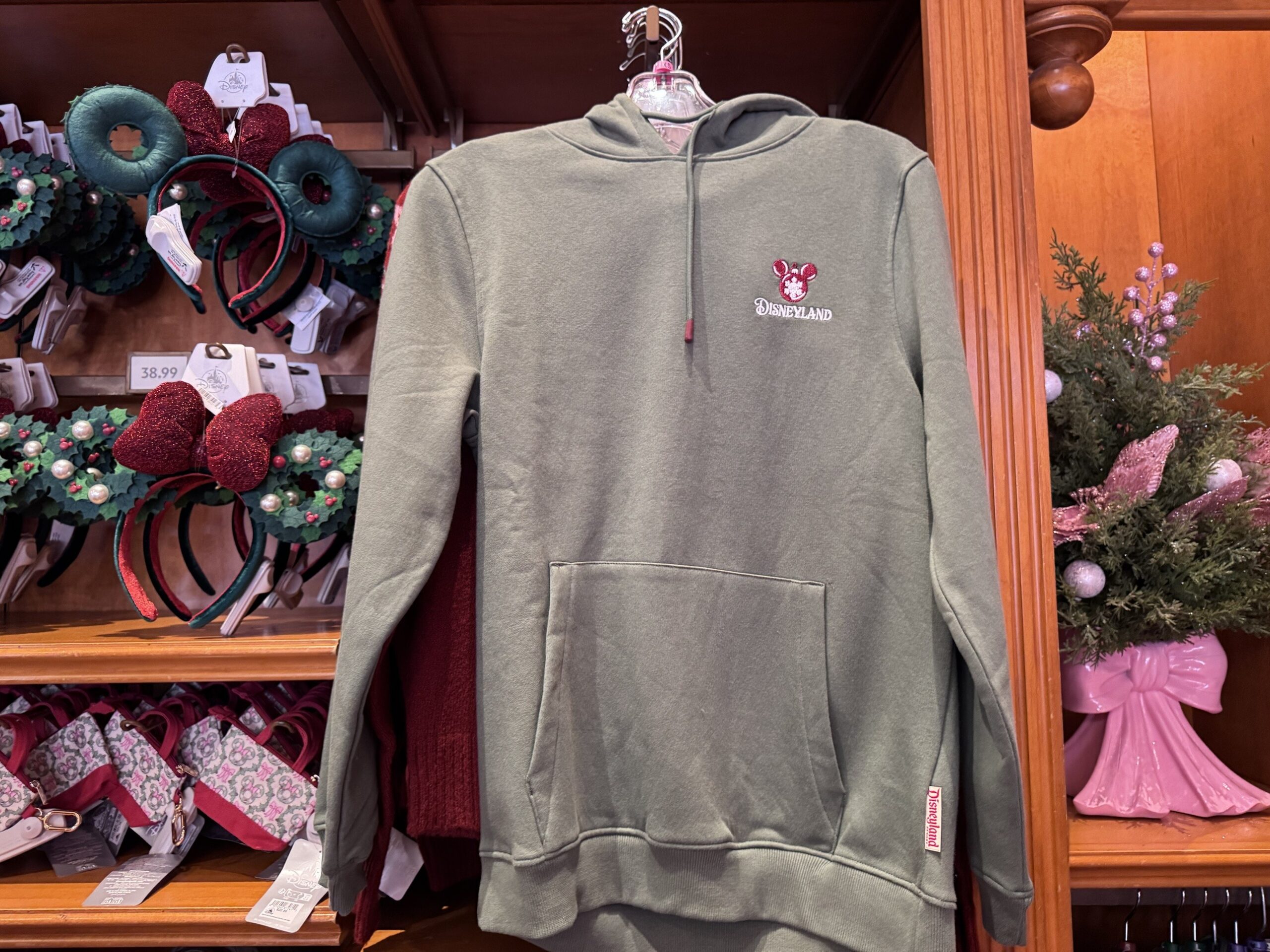 Sage green pullover hoodie with a small embroidered red Mickey ornament and Disneyland wordmark