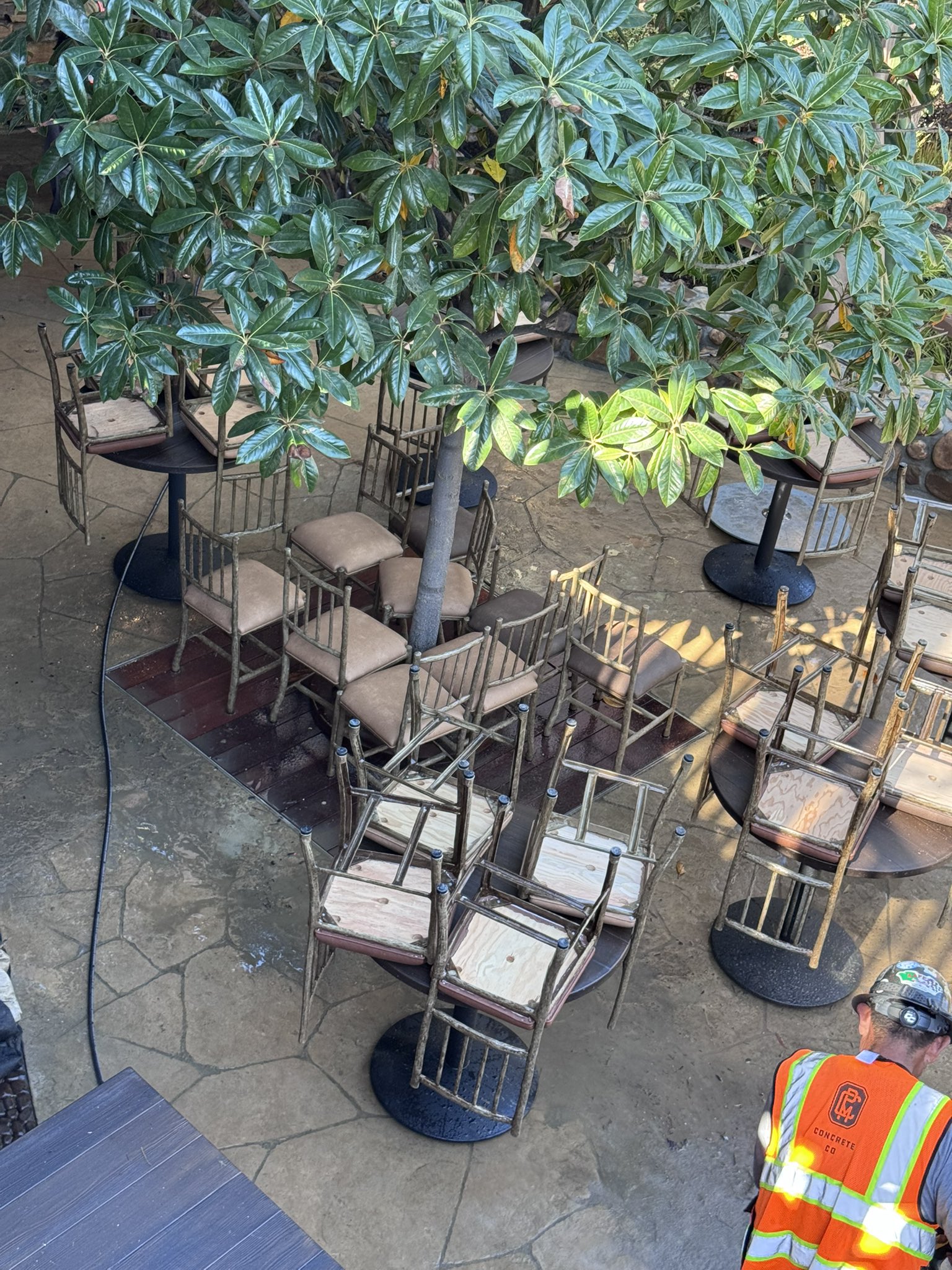 Tables and chairs set up under a tree in the new Hungry Bear Barbecue Jamboree dining area as a worker pressure washes