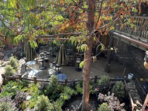 The new lower-level dining area at Hungry Bear Barbecue Jamboree with tables, umbrellas, lanterns and planters