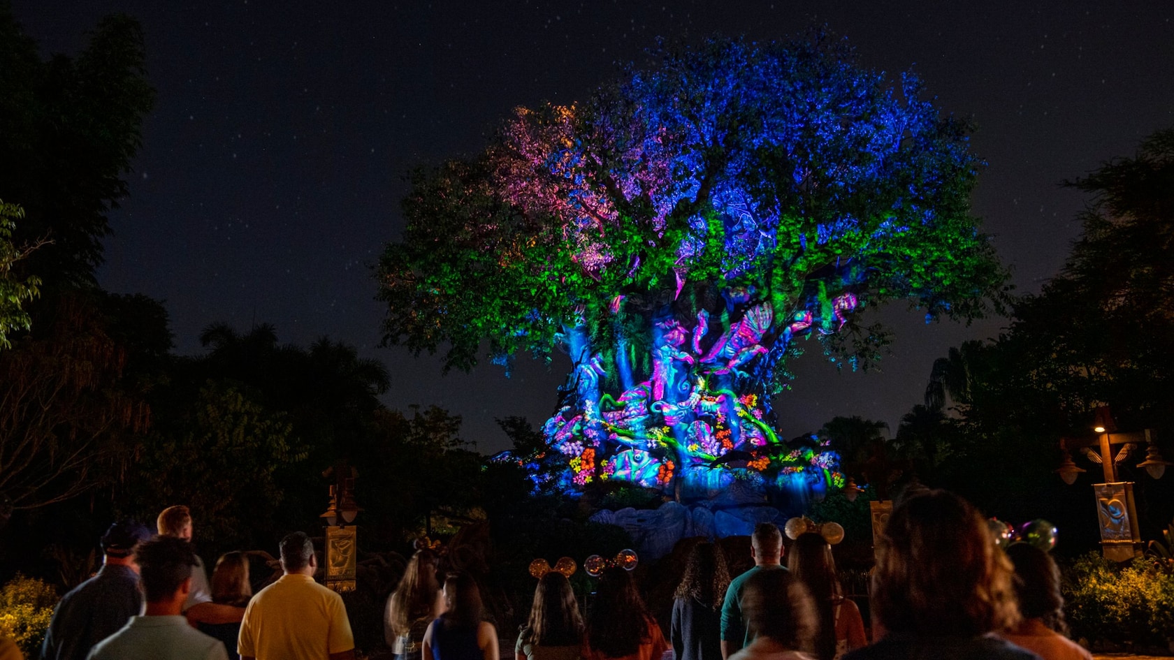 Tree Of Life Awakenings Returns November 1, But Not Every Night